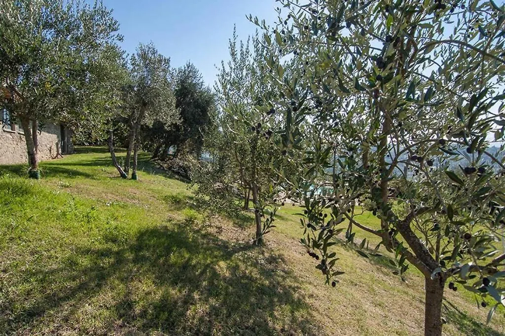 Abete Villa Pratovecchio
